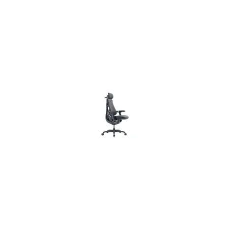 LiberNovo Omni GEN 48 cm Ergonomic Chair (Graphite)